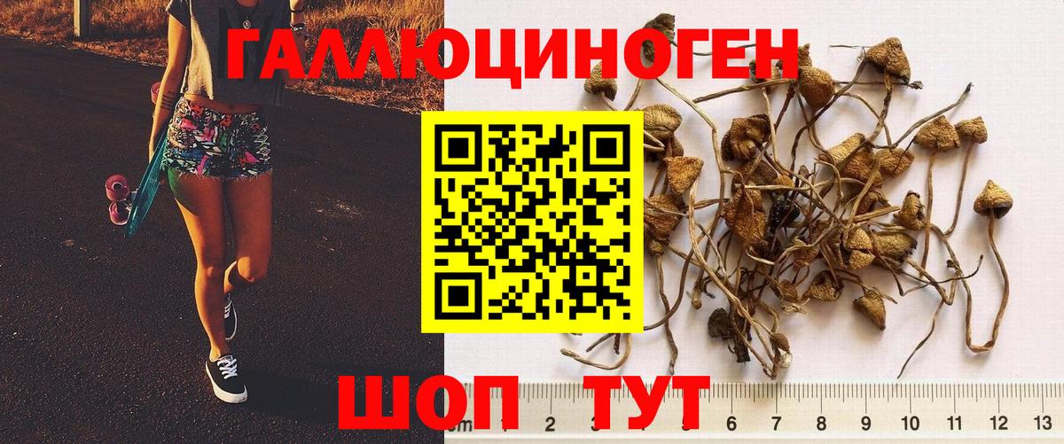 купить наркотики сайты  Псилоцибиновые грибы мухоморы  Псилоцибиновые грибы прущие грибы  Вход с VPN  Сердобск 